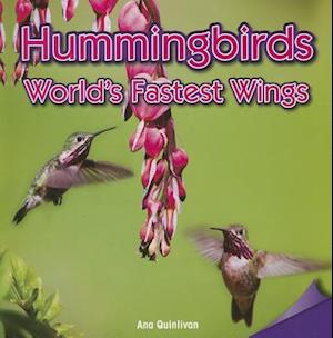 Hummingbirds