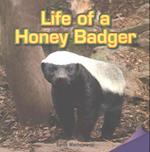 Life of a Honey Badger