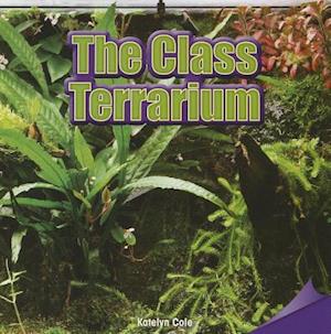 The Class Terrarium