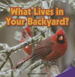 What Lives in Your Backyard?