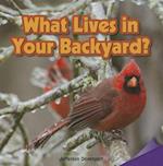 What Lives in Your Backyard?