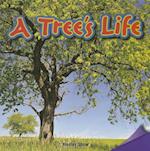 A Tree's Life