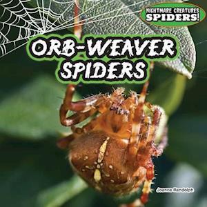 Orb-Weaver Spiders