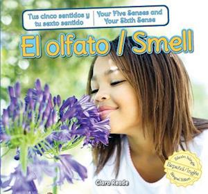 El Olfato/Smell