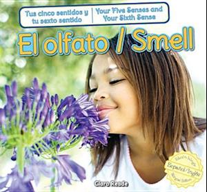 El olfato / Smell