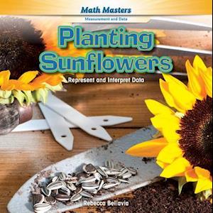 Planting Sunflowers