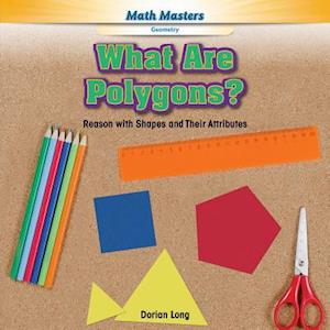 What Are Polygons?