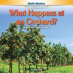 What Happens at an Orchard?