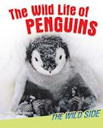 The Wild Life of Penguins