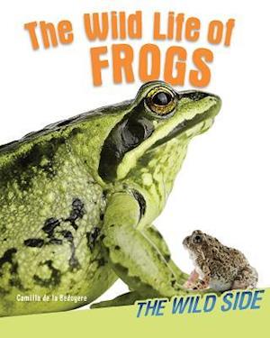 The Wild Life of Frogs