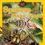 Spiders and Other Animals That Make Traps