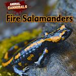 Fire Salamanders