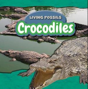 Crocodiles