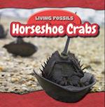 Horseshoe Crabs