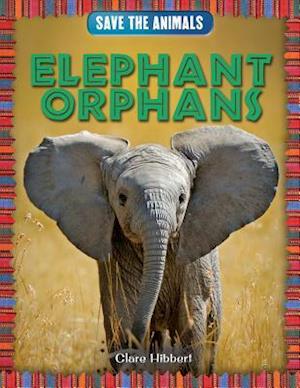 Elephant Orphans