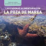 Las Cadenas Alimentarias En La Poza de Marea (Tide Pool Food Chains)