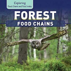 Forest Food Chains