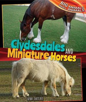 Clydesdales and Miniature Horses