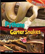 Pythons and Garter Snakes