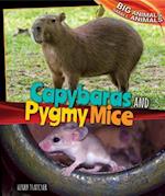 Capybaras and Pygmy Mice
