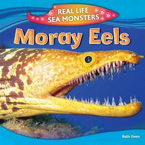 Moray Eels