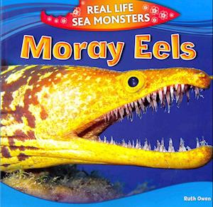 Moray Eels