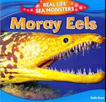 Moray Eels