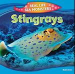 Stingrays