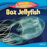 Box Jellyfish