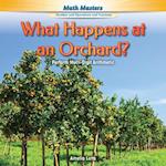 What Happens at an Orchard?