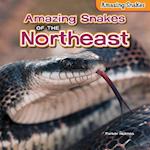 Amazing Snakes of the Northeast