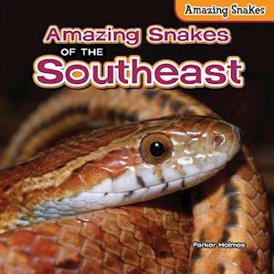 Amazing Snakes of the Southeast