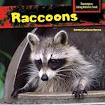 Raccoons