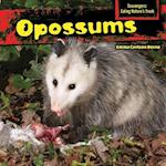 Opossums