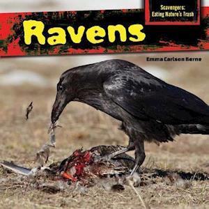 Ravens