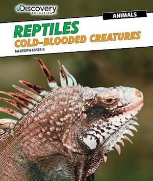 Reptiles