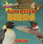 Superstar Birds