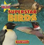 Superstar Birds