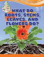 What Do Roots, Stems, Leaves, and Flowers Do?