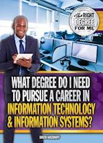 What Degree Do I Need to Pursue a Career in Information Technology & Information Systems?