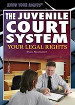 The Juvenile Court System