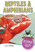 Reptiles & Amphibians