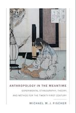 Anthropology in the Meantime