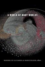 A World of Many Worlds