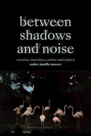 Between Shadows and Noise