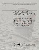 Deepwater Horizon Oil Spill