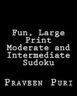 Fun, Large Print Moderate and Intermediate Sudoku