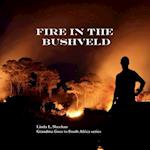 Fire in the Bushveld