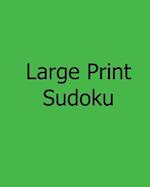 Large Print Sudoku - Moderate Puzzles