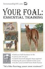 Your Foal: Essential Training 